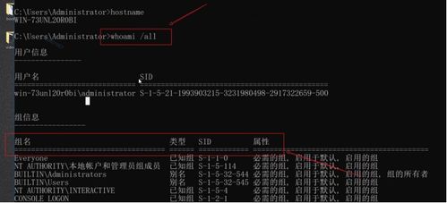 网络安全工程师深度解析 黑客如何进行内网计算机攻防与系统集成的对抗